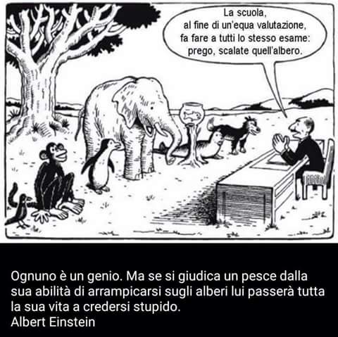 9 intelligenze, scuola non valorizza talento
