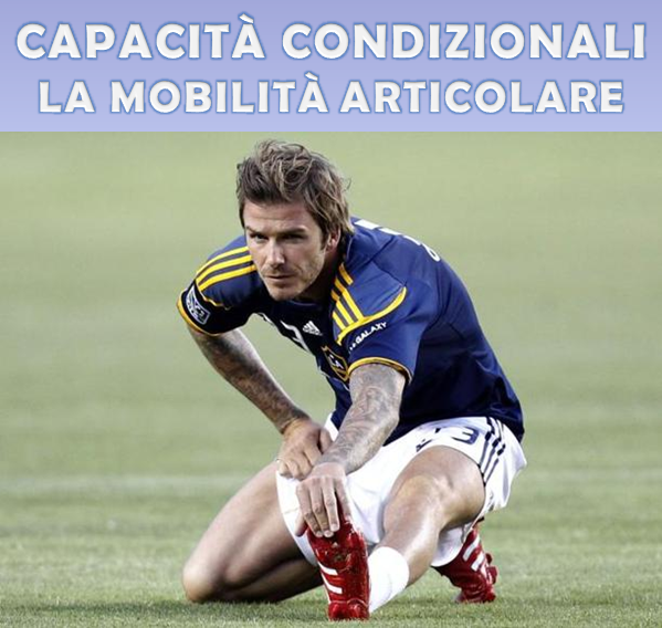 Cos'è la mobilità articolare, come allenare la mobilità articolare